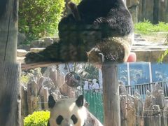 -大连森林动物园