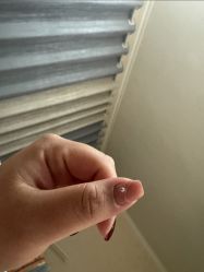 点击看大图 -Ami nail爱米美甲美睫