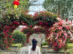 -东莞植物园