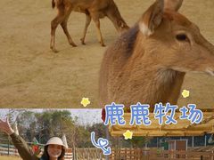 -盈香心动乐园