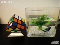 -杭州西湖桔子水晶酒店