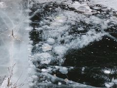 -黑龙潭风景区