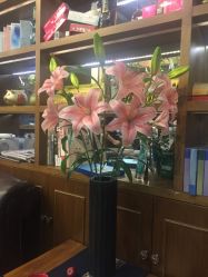 -谦亨·Hair·Salon