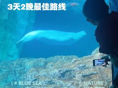 -珠海长隆海洋王国