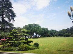 -浙江西子宾馆·牡丹厅