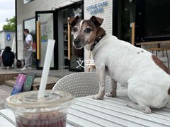 -小意思咖啡店(草桥店)