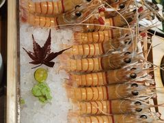 -月龍吟(朝龙汇店)