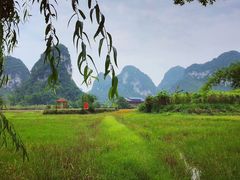 -靖西鹅泉风景区