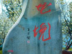 -杭州湾海上花田景区