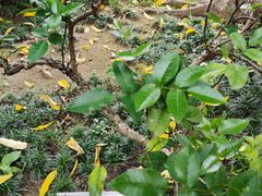 -广州神农草堂中医药博物馆