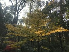 -西湖风景区十里琅珰-五云山