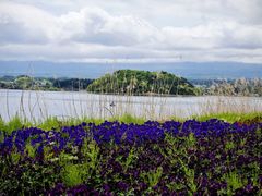 -河口湖八音盒之森美术馆