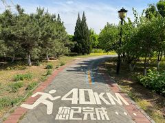 -永定河休闲森林公园