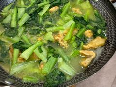 -丁老爷子苏香圆