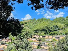 -杨家堂村