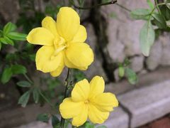 -圣爵菲斯大酒店(长沙世界之窗店)