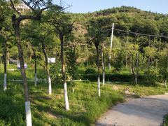 -五龙城郊森林公园