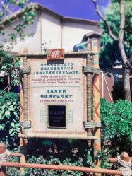 -翱翔飞越地平线
