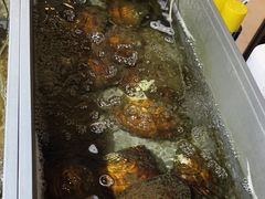 -十八字金·银饰·拼豆·开蚌DIY(魏公芳华里店)