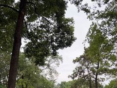 -成都动物园
