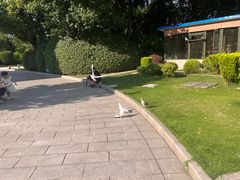 -宋庆龄陵园