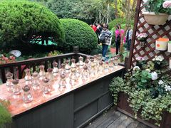 -紫薇实验幼儿园(桂平路校区)