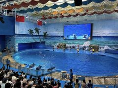 -多彩贵州城极地海洋世界