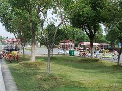 -漕湖湿地公园