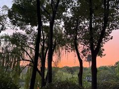 -杭州城北体育公园