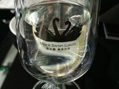 -BLACKSWAN黑天鹅(环球店)