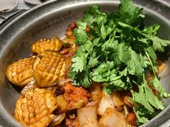 -禄婶鸡煲·打边炉