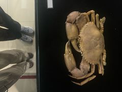 -秦皇岛野生动物园