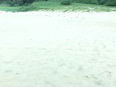 -普陀山风景名胜区-千步大沙