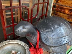 -梧州双钱龟苓膏(老街店)