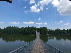 -东湖落雁景区