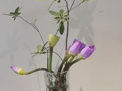 -花锦堂·隐庐