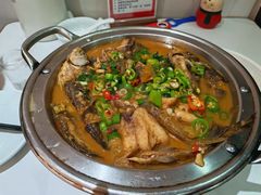 -全乐鱼馆·淳牌有机鱼直营店
