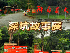 -阳台山森林公园