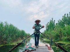 -白洋淀景区