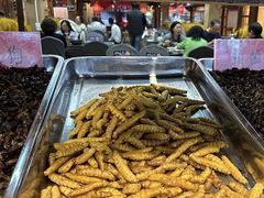 -昆虫窝子·特色云南菜(拓东路总店)