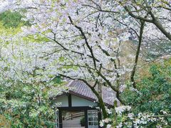 -中国茶叶博物馆(双峰馆区)