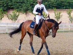 教练-月河湾马术俱乐部(朝阳店)