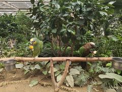 -南宫五洲植物乐园