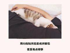 -爱侣宠医·鹦鹉专科·小型哺乳类·异宠专科(灵石路店)