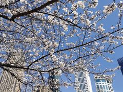 -西北湖绿化广场