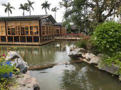 -花溪雨·森林餐厅(石基店)