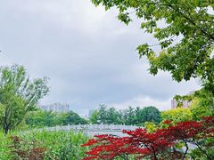 -大连植物园