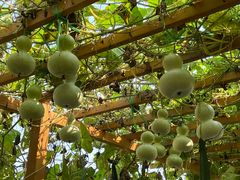 -中国天府农业博览园