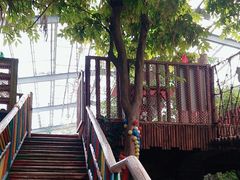 -呀路古热带植物园