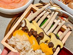 -菌自在·云南野生菌火锅(长安万达店)